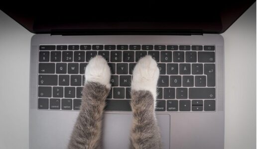 HPVワクチンの今