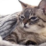 OTC類似薬の「保険外し」は本当に必要なのか？