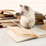 成年後見制度の「知られざる問題」──預金額で報酬が決まる仕組みが生む逆インセンティブ